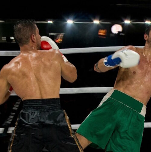 Conflito em “A Fazenda 17” termina em combate, com Mesquita saindo vitorioso contra Matheus